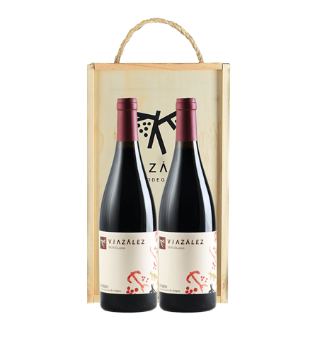 Pack 2 botellas de vino Viazález