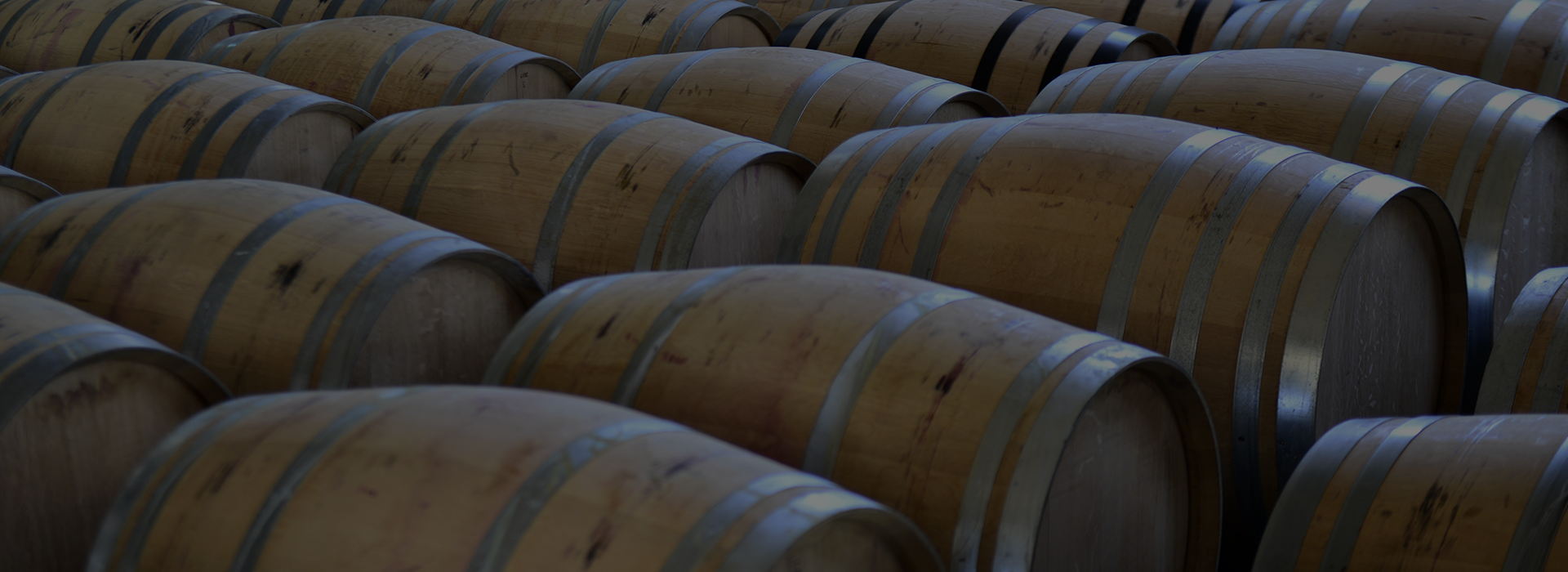 Barricas en la bodega